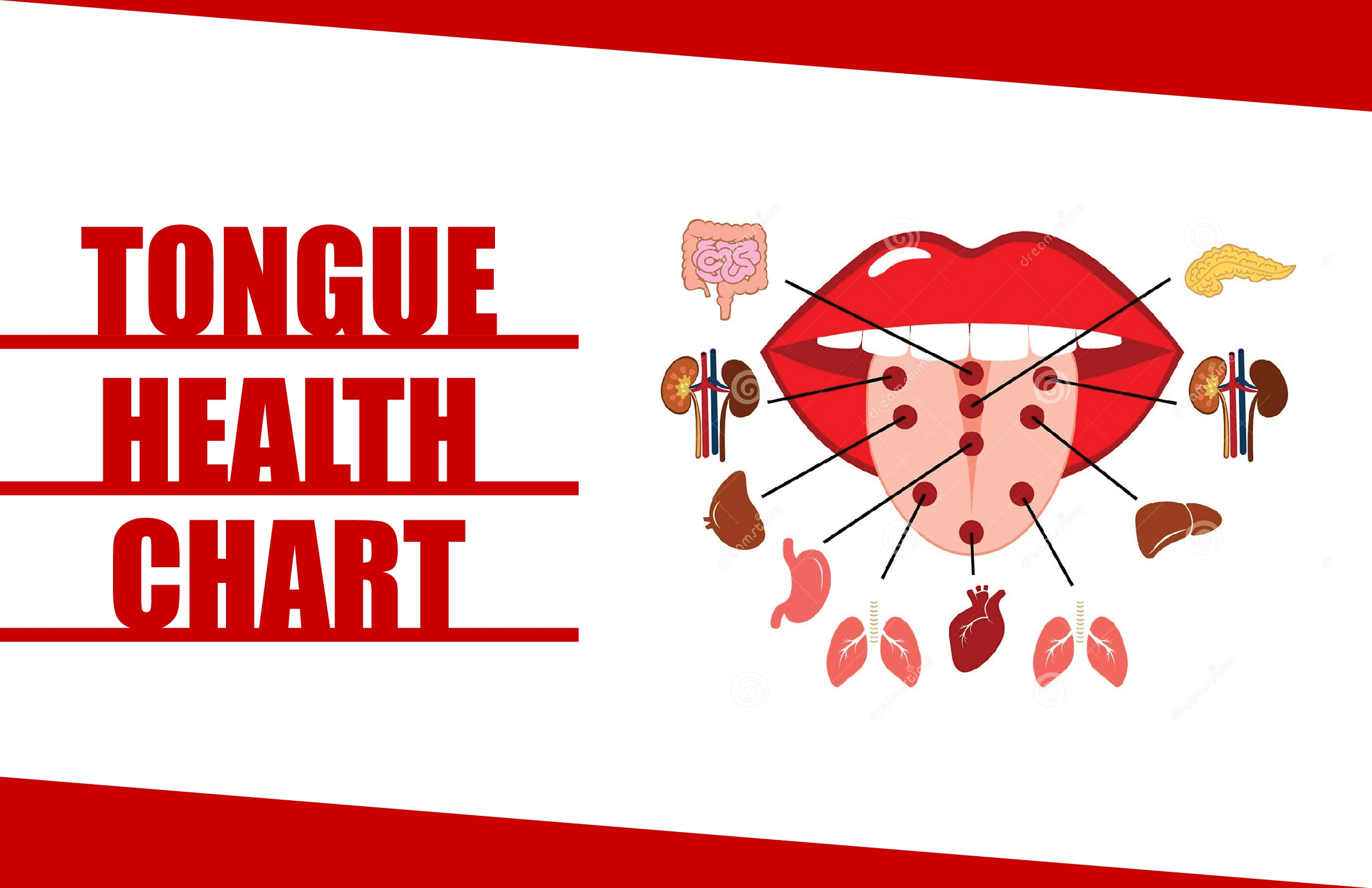 Tongue Health Chart The Key to Better Oral Health!