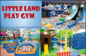 Little land play gym